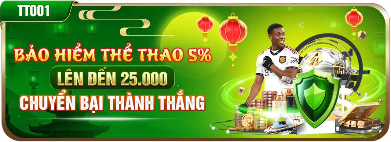 Các chiến kê hàng đầu 2024