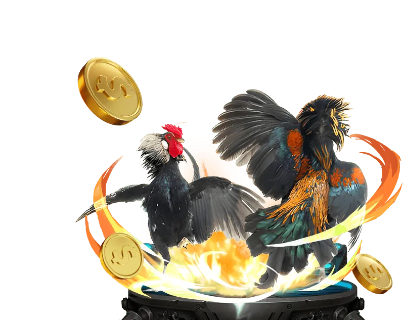 Đá Gà Trực Tiếp CPC3